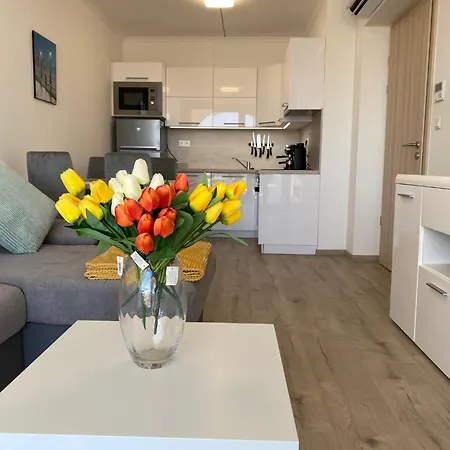 Cruiser By Bltn Appartamento